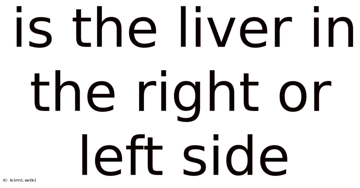 Is The Liver In The Right Or Left Side
