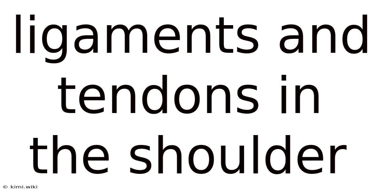 Ligaments And Tendons In The Shoulder