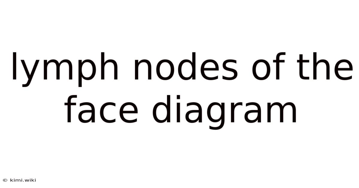 Lymph Nodes Of The Face Diagram