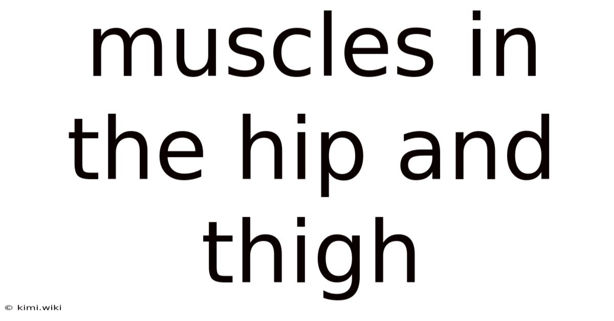 Muscles In The Hip And Thigh