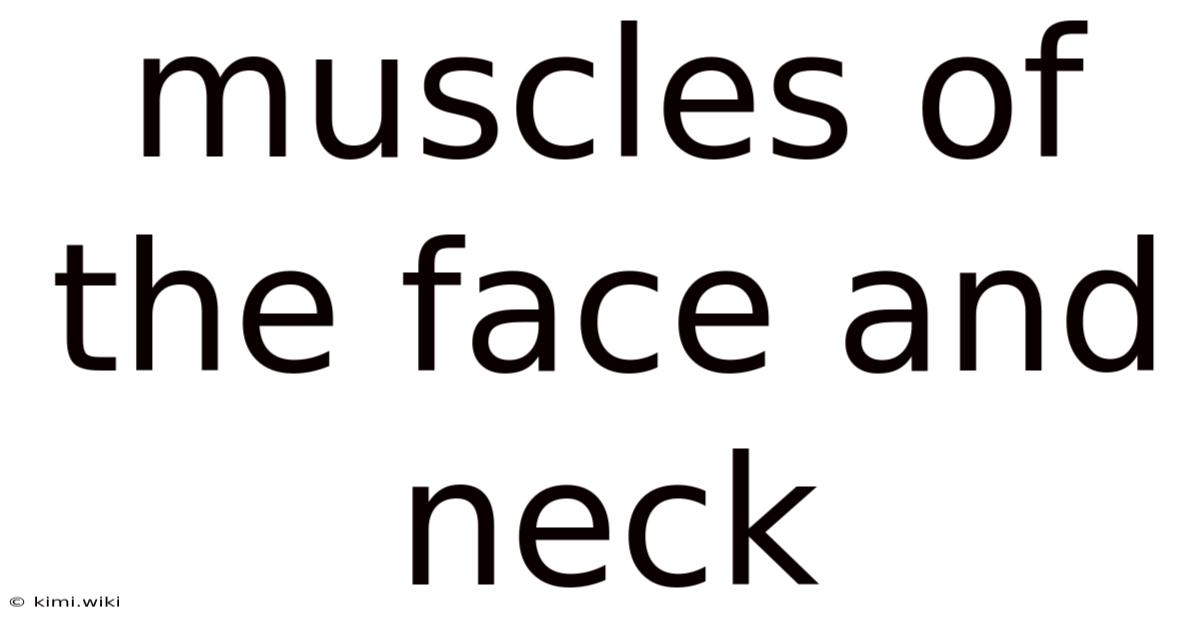 Muscles Of The Face And Neck