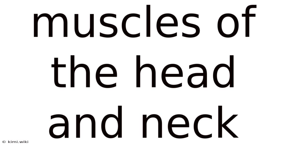 Muscles Of The Head And Neck