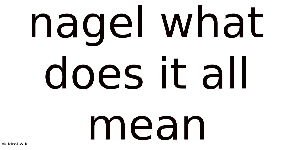Nagel What Does It All Mean