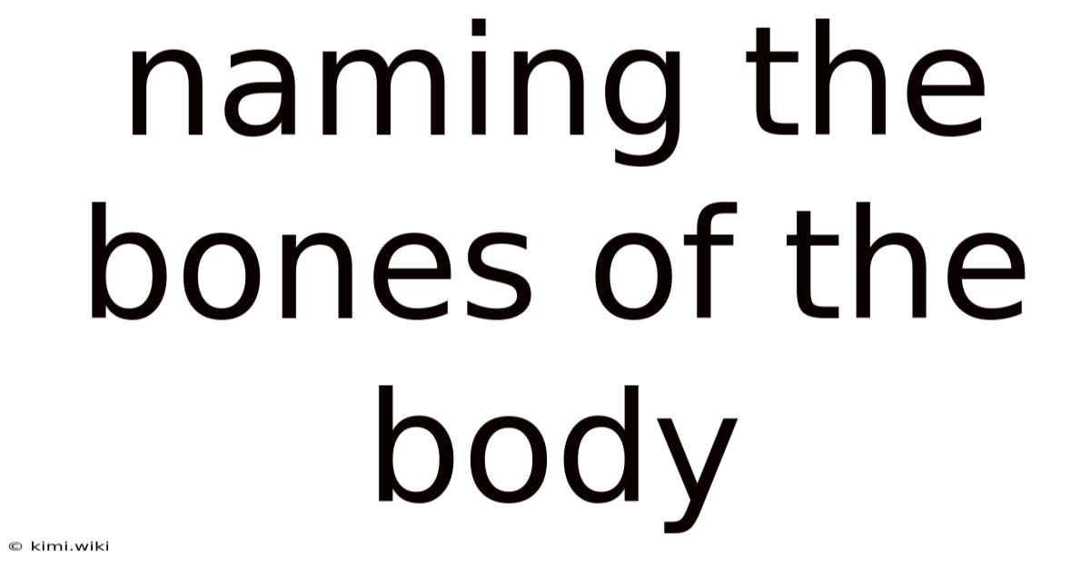 Naming The Bones Of The Body