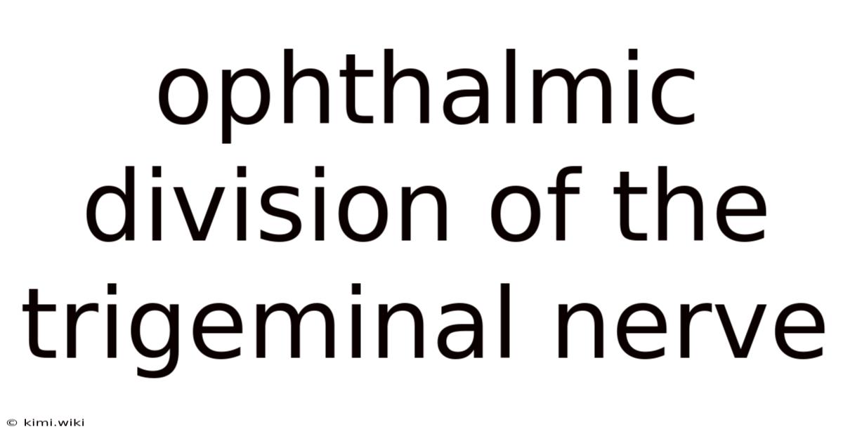 Ophthalmic Division Of The Trigeminal Nerve