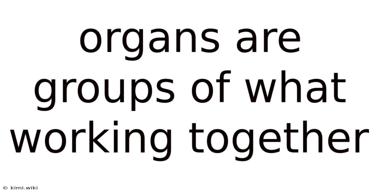 Organs Are Groups Of What Working Together