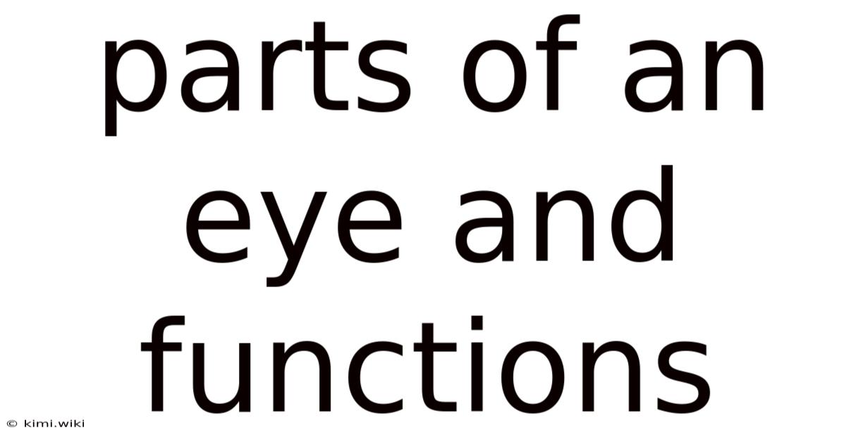 Parts Of An Eye And Functions