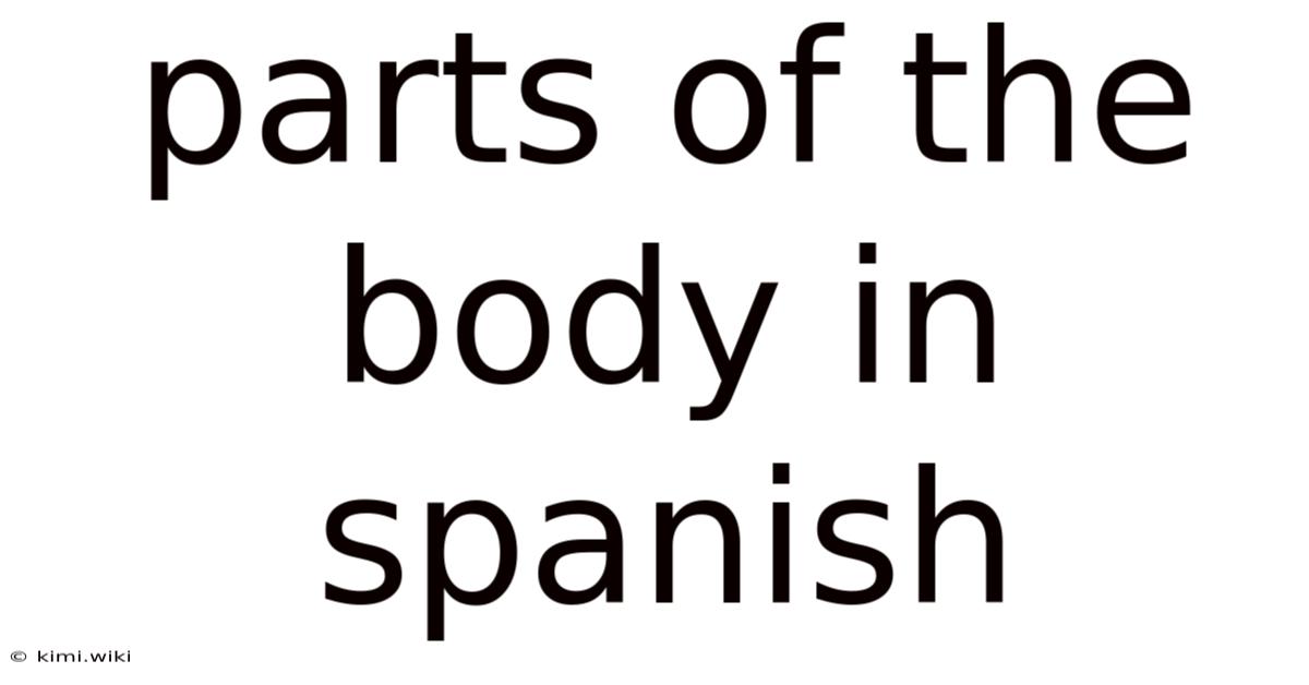 Parts Of The Body In Spanish