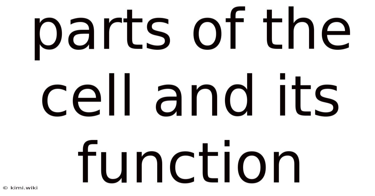 Parts Of The Cell And Its Function
