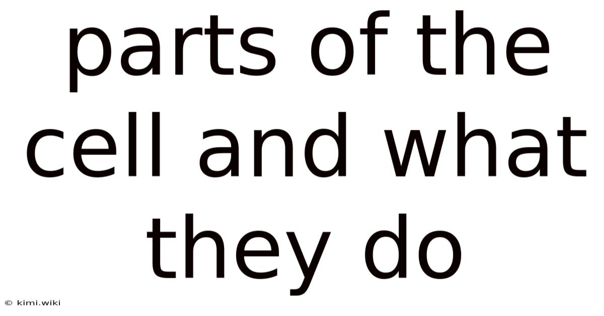 Parts Of The Cell And What They Do