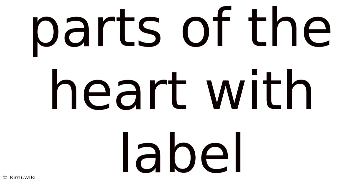 Parts Of The Heart With Label