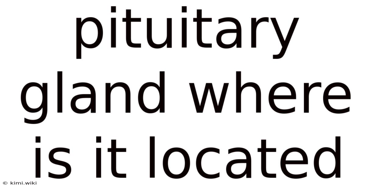 Pituitary Gland Where Is It Located