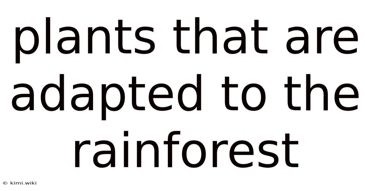 Plants That Are Adapted To The Rainforest