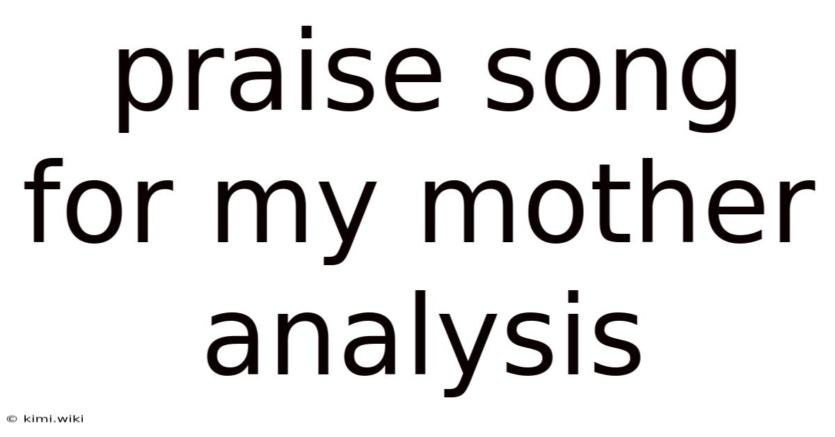 Praise Song For My Mother Analysis