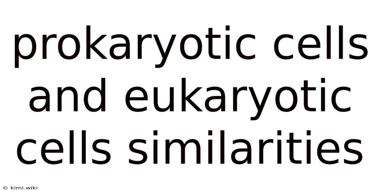 Prokaryotic Cells And Eukaryotic Cells Similarities