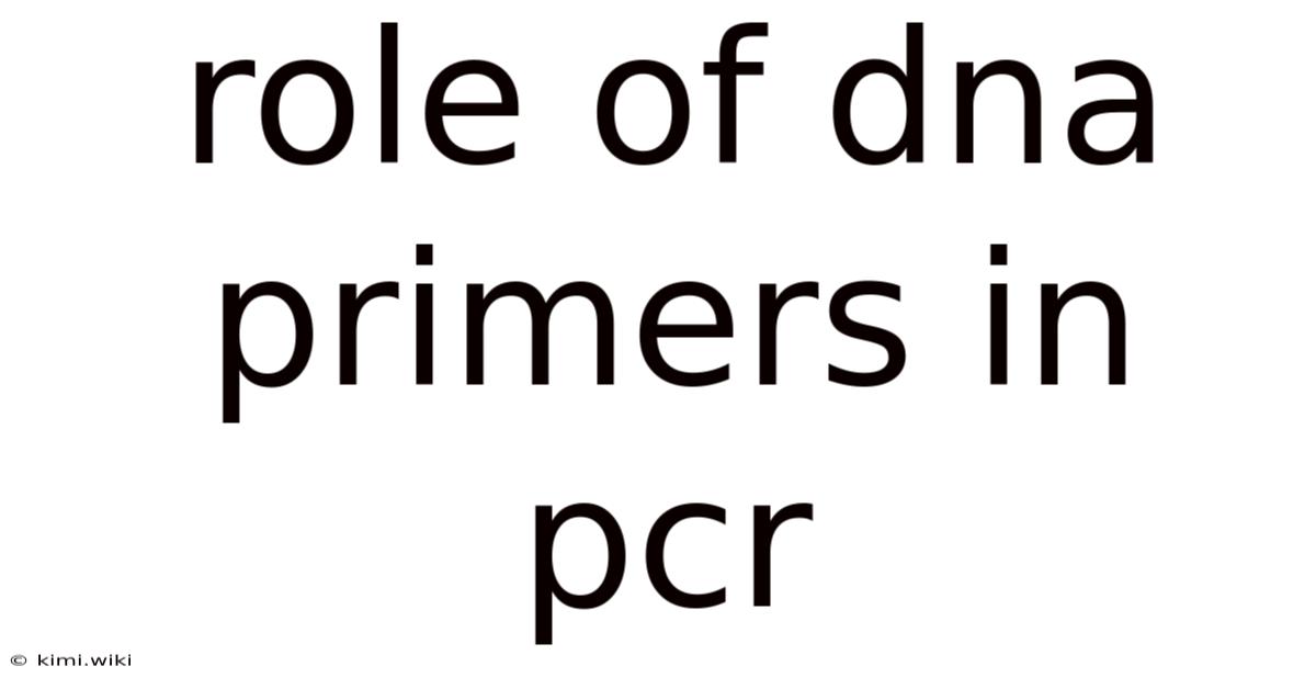 Role Of Dna Primers In Pcr