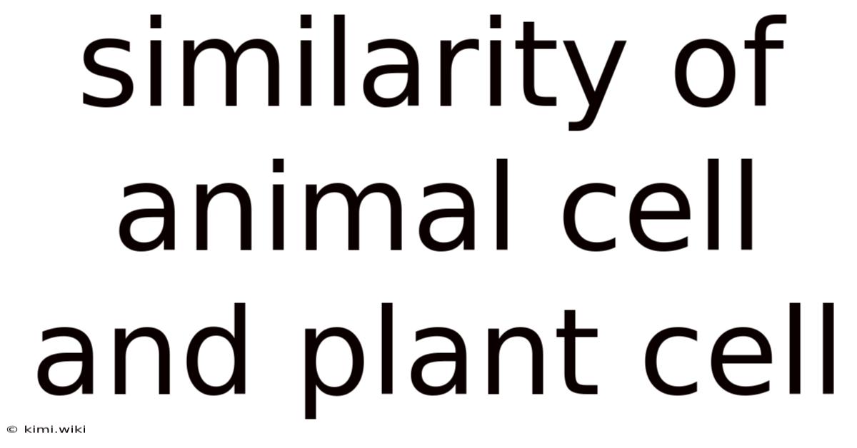 Similarity Of Animal Cell And Plant Cell
