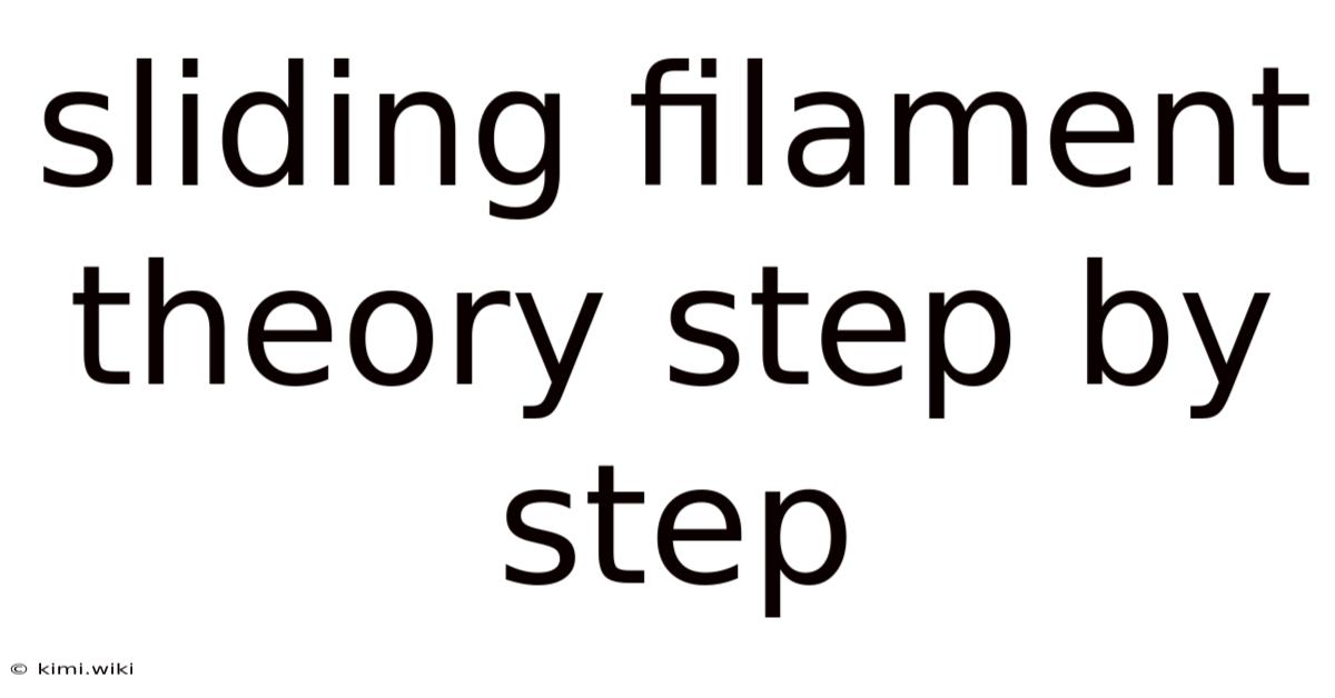 Sliding Filament Theory Step By Step