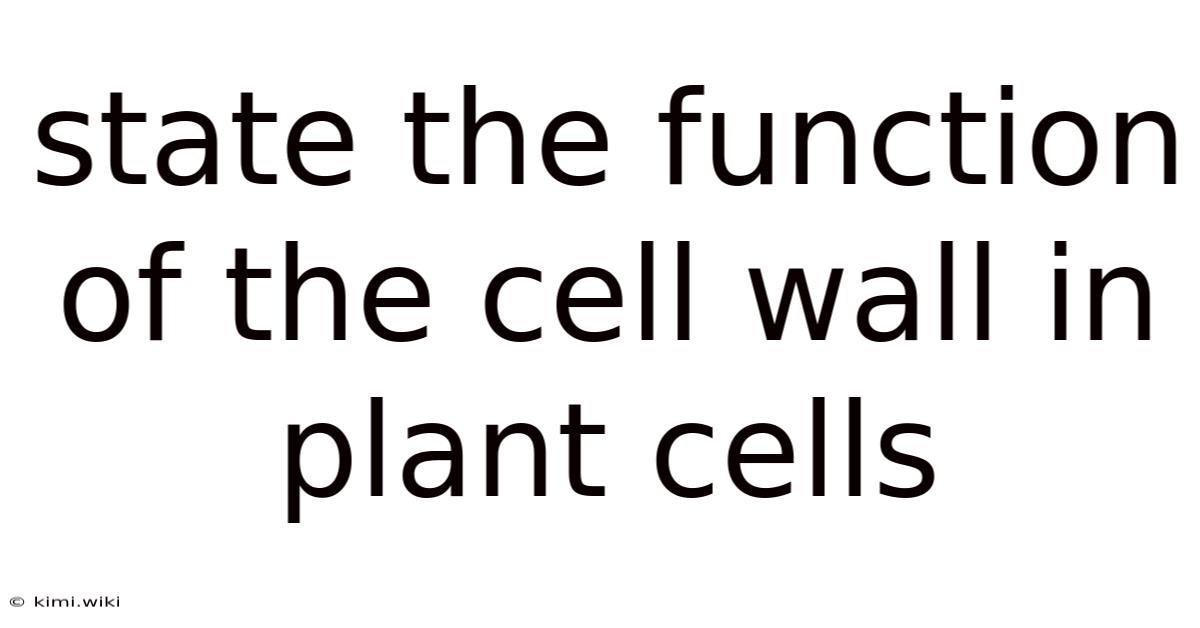 State The Function Of The Cell Wall In Plant Cells