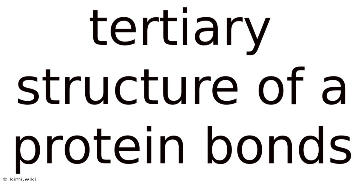 Tertiary Structure Of A Protein Bonds