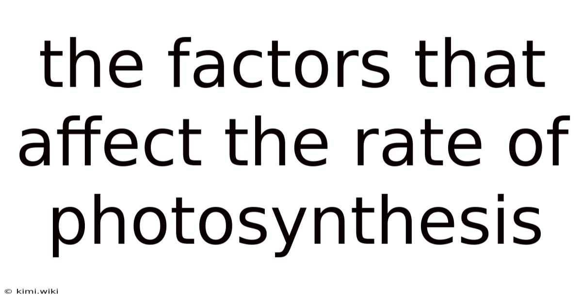 The Factors That Affect The Rate Of Photosynthesis
