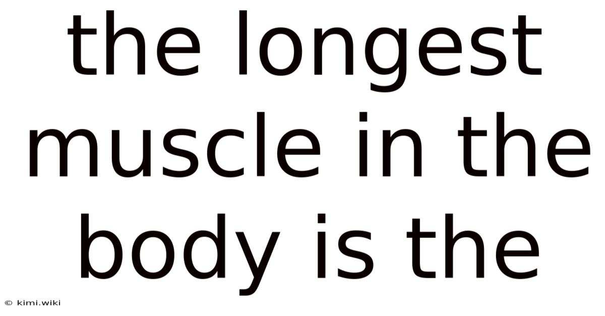 The Longest Muscle In The Body Is The