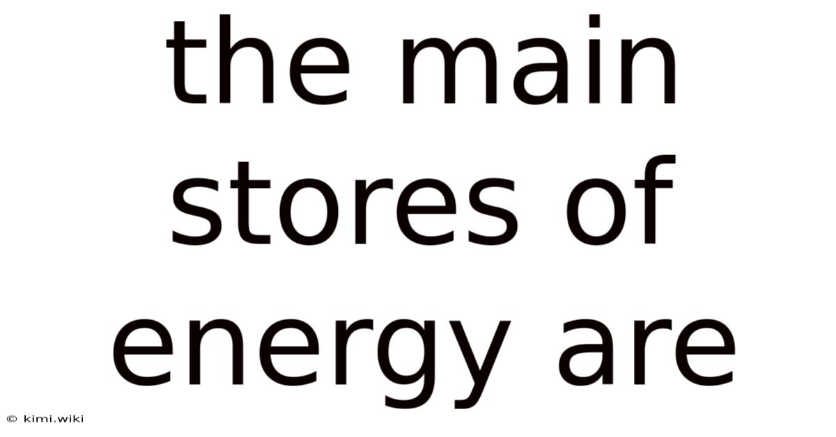 The Main Stores Of Energy Are