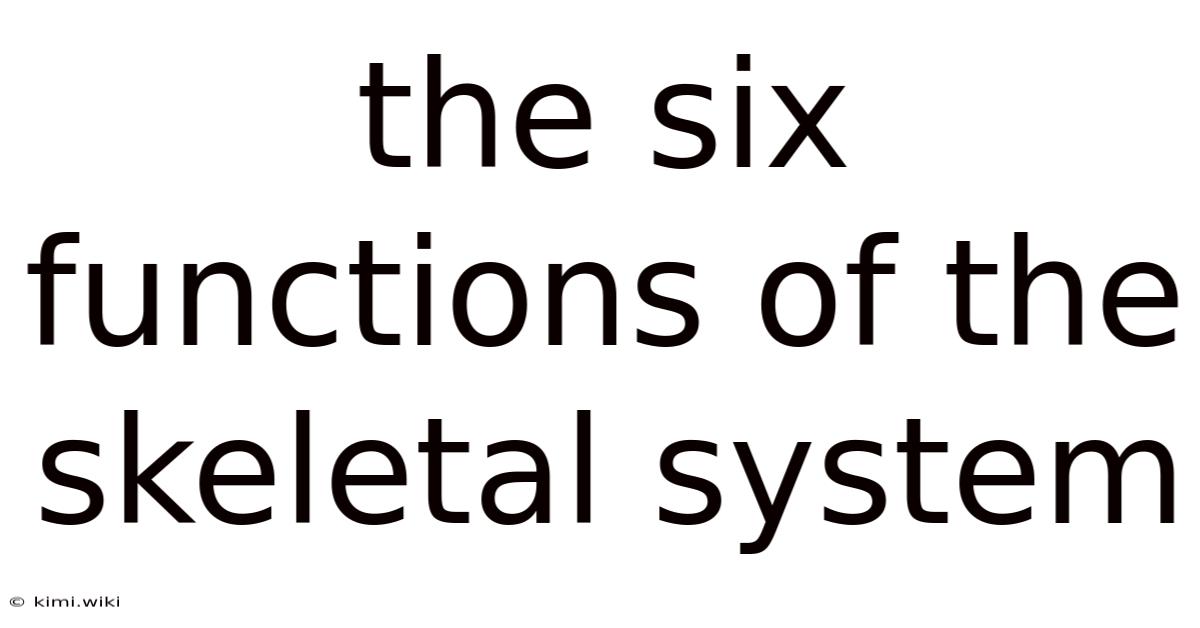 The Six Functions Of The Skeletal System