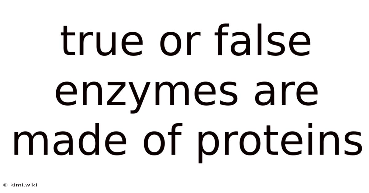 True Or False Enzymes Are Made Of Proteins
