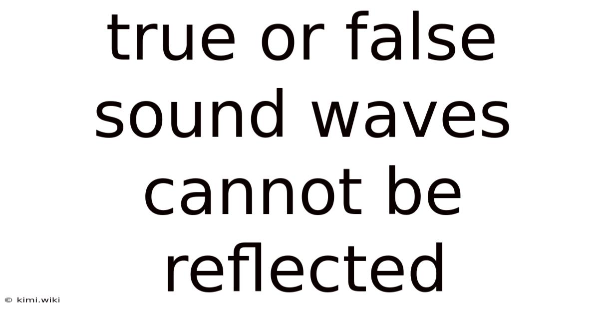 True Or False Sound Waves Cannot Be Reflected