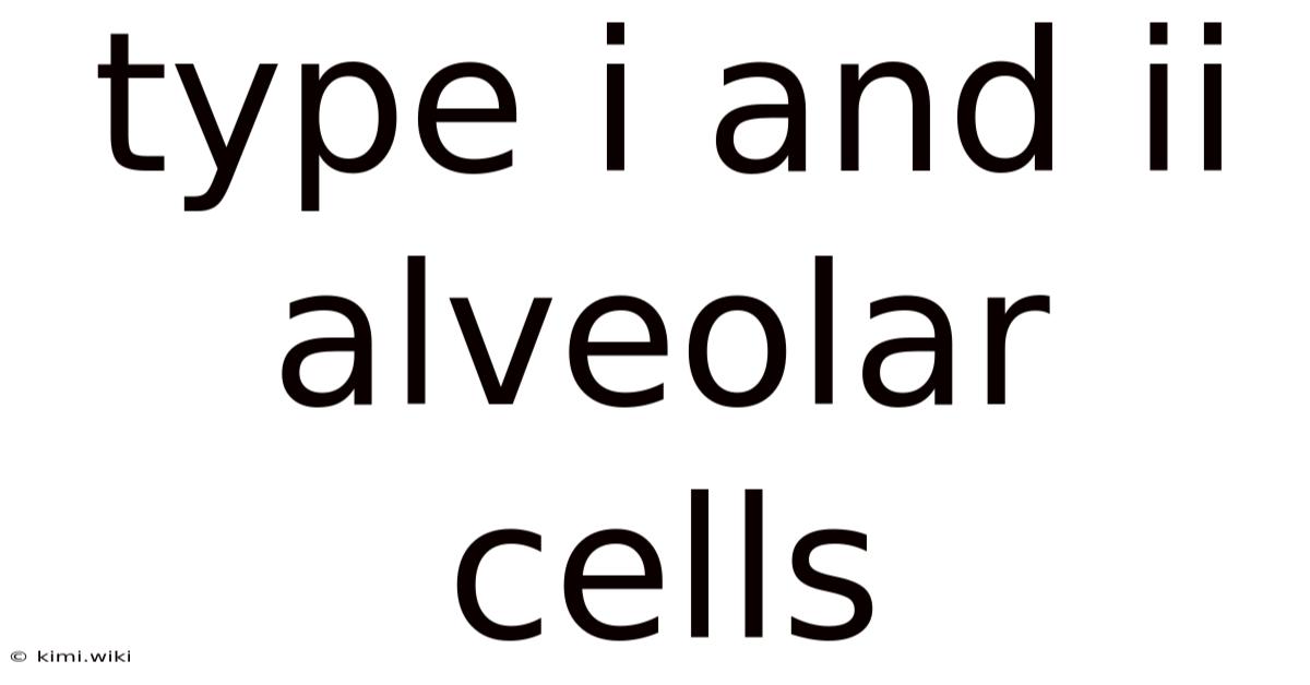 Type I And Ii Alveolar Cells