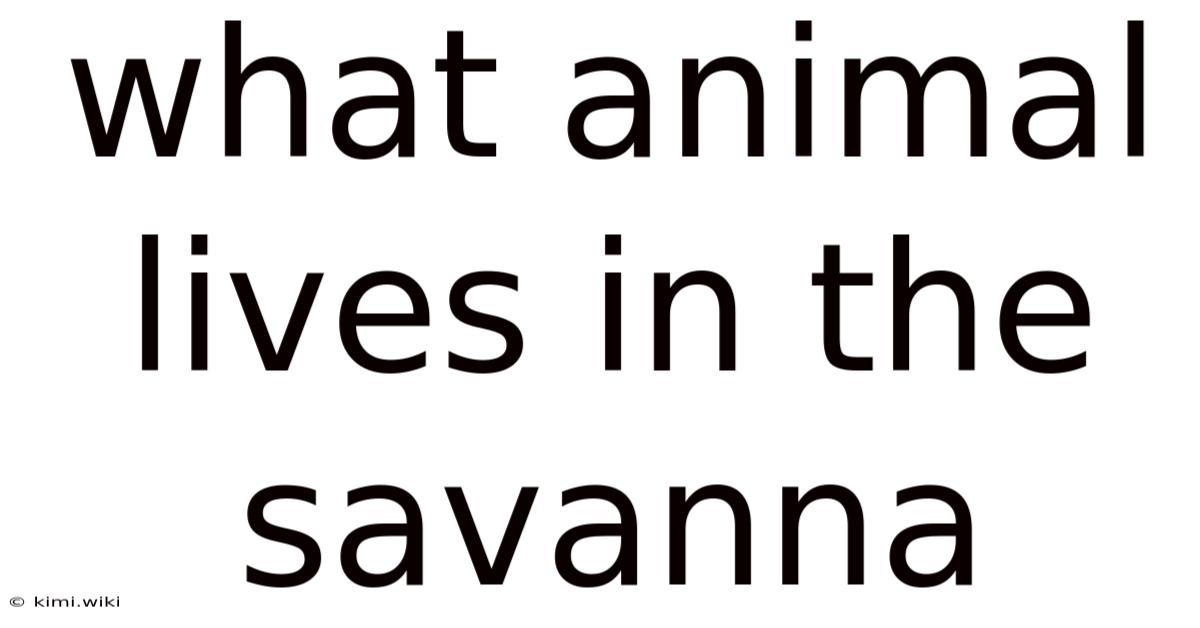 What Animal Lives In The Savanna