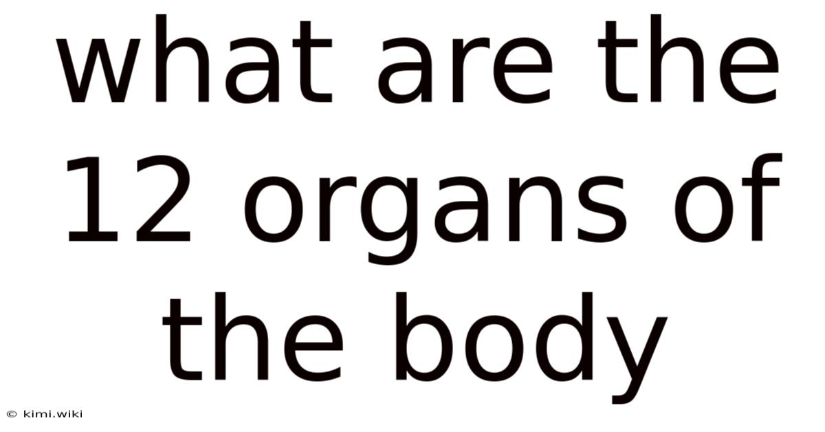 What Are The 12 Organs Of The Body