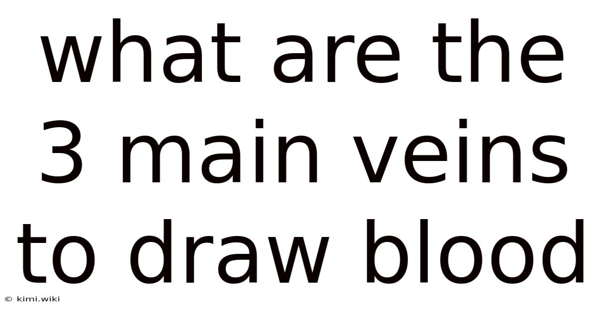 What Are The 3 Main Veins To Draw Blood