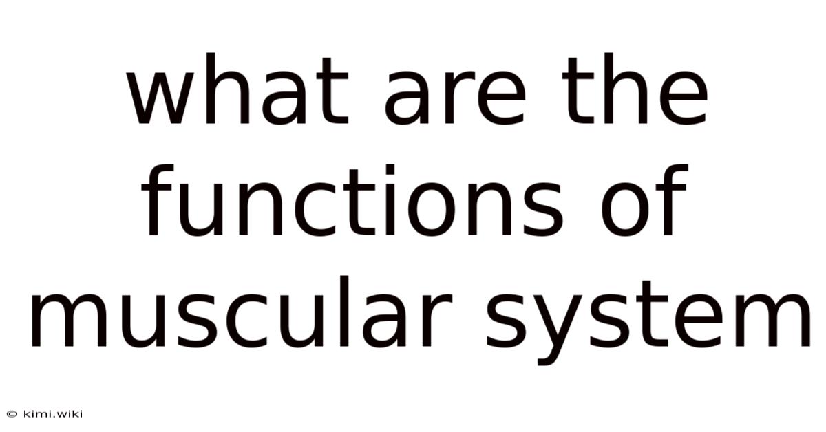 What Are The Functions Of Muscular System