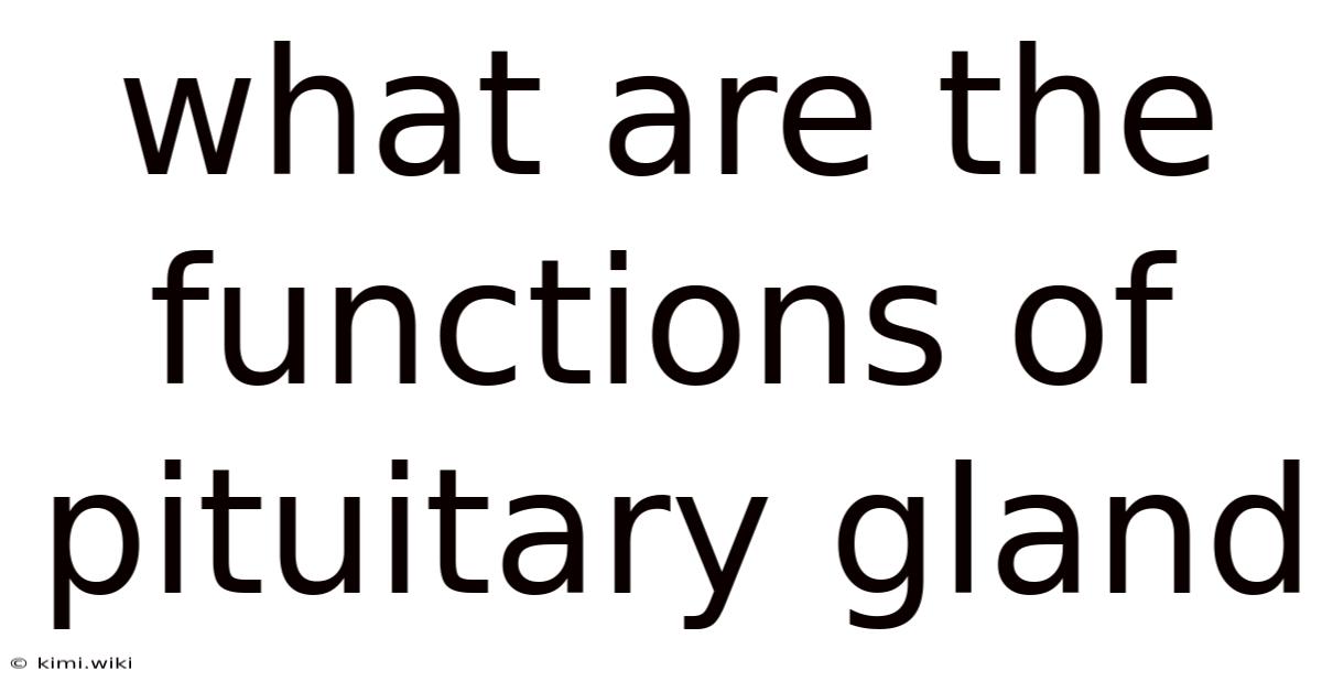 What Are The Functions Of Pituitary Gland