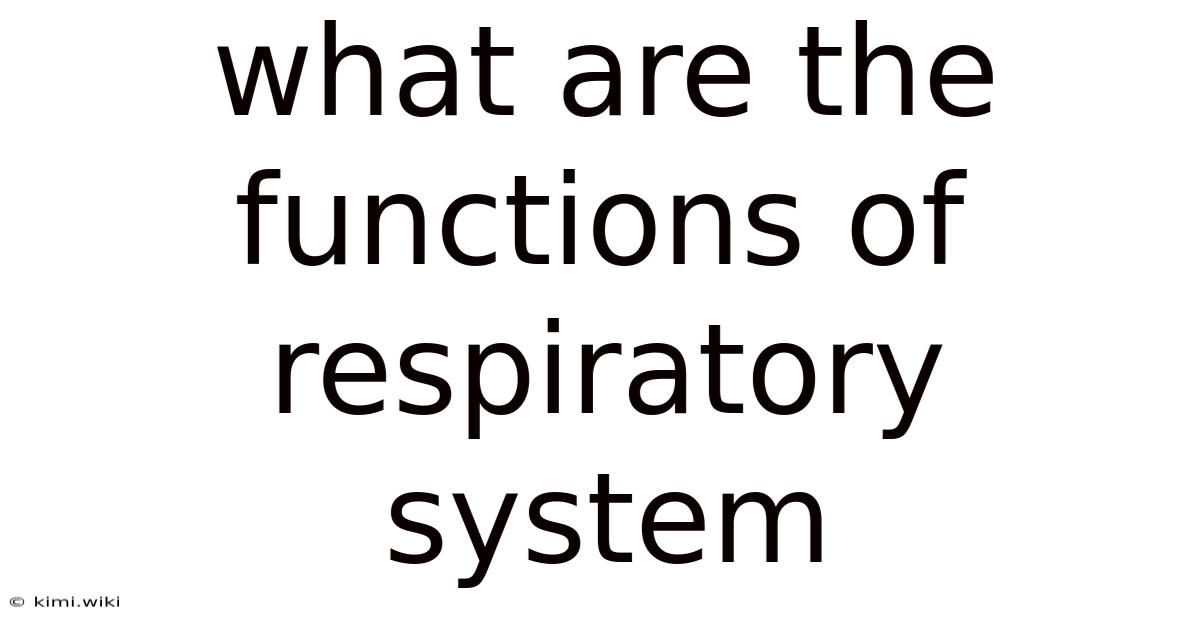 What Are The Functions Of Respiratory System