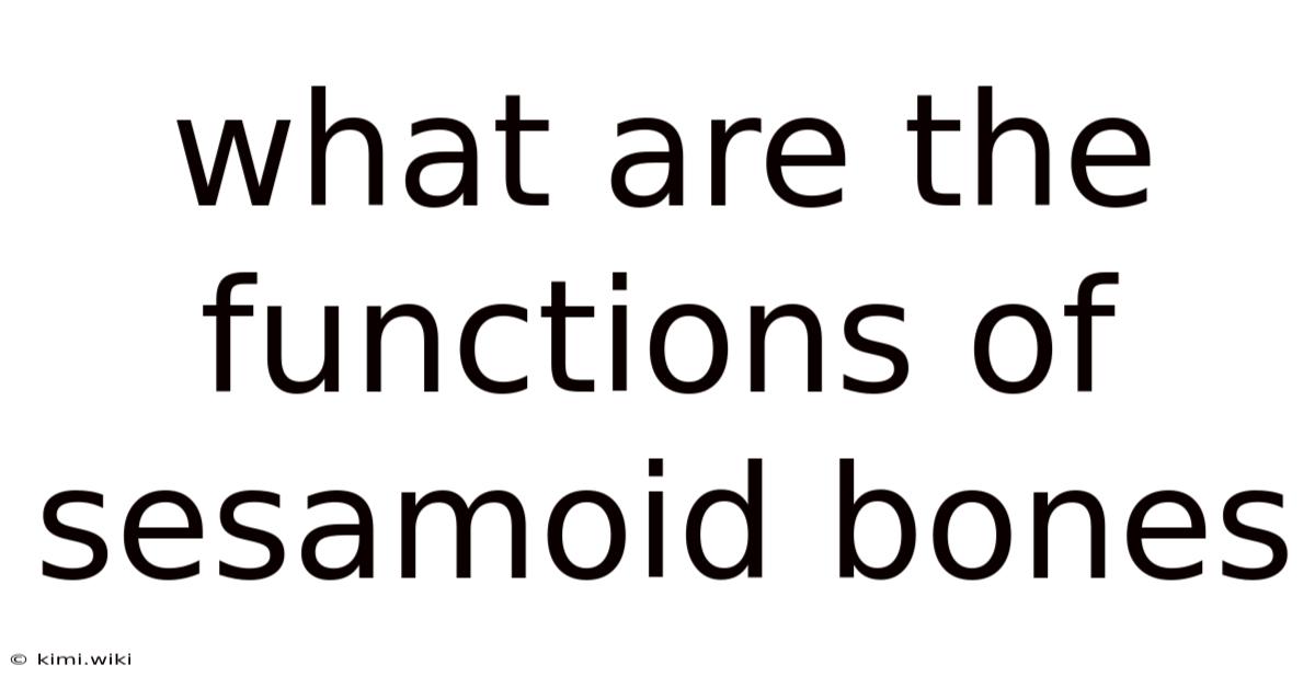 What Are The Functions Of Sesamoid Bones