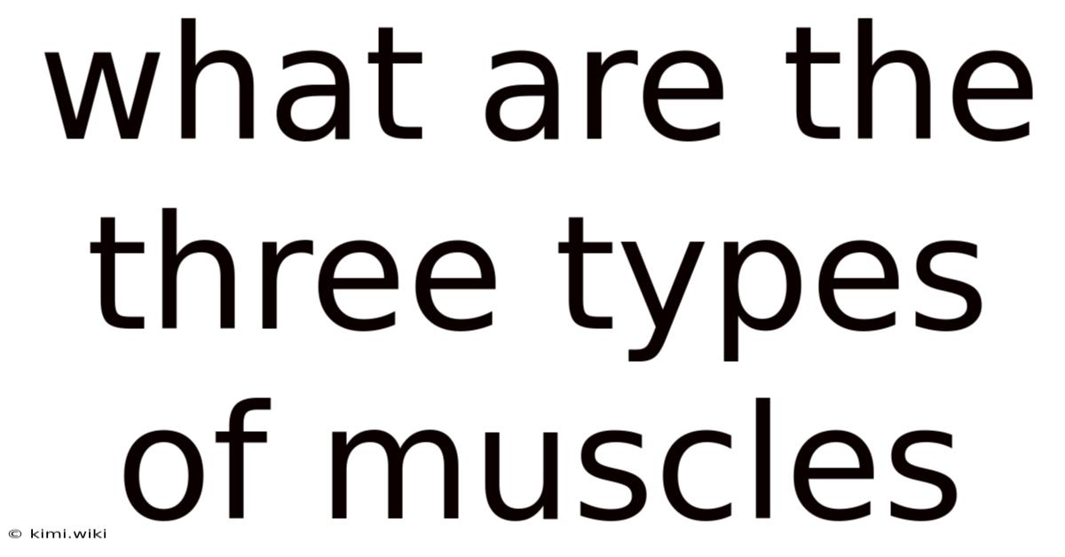 What Are The Three Types Of Muscles