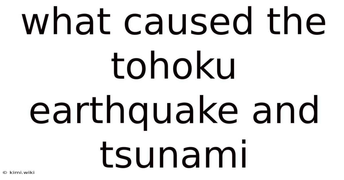 What Caused The Tohoku Earthquake And Tsunami