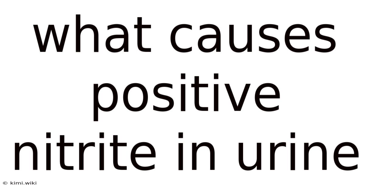 What Causes Positive Nitrite In Urine