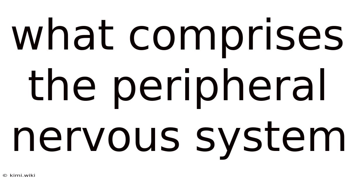 What Comprises The Peripheral Nervous System