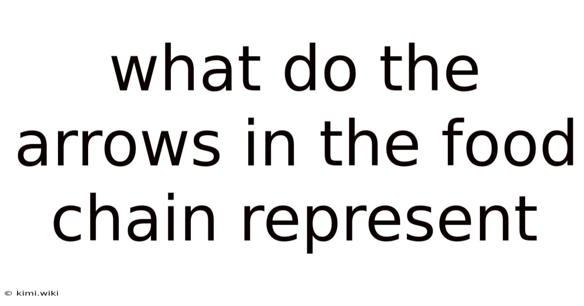 What Do The Arrows In The Food Chain Represent