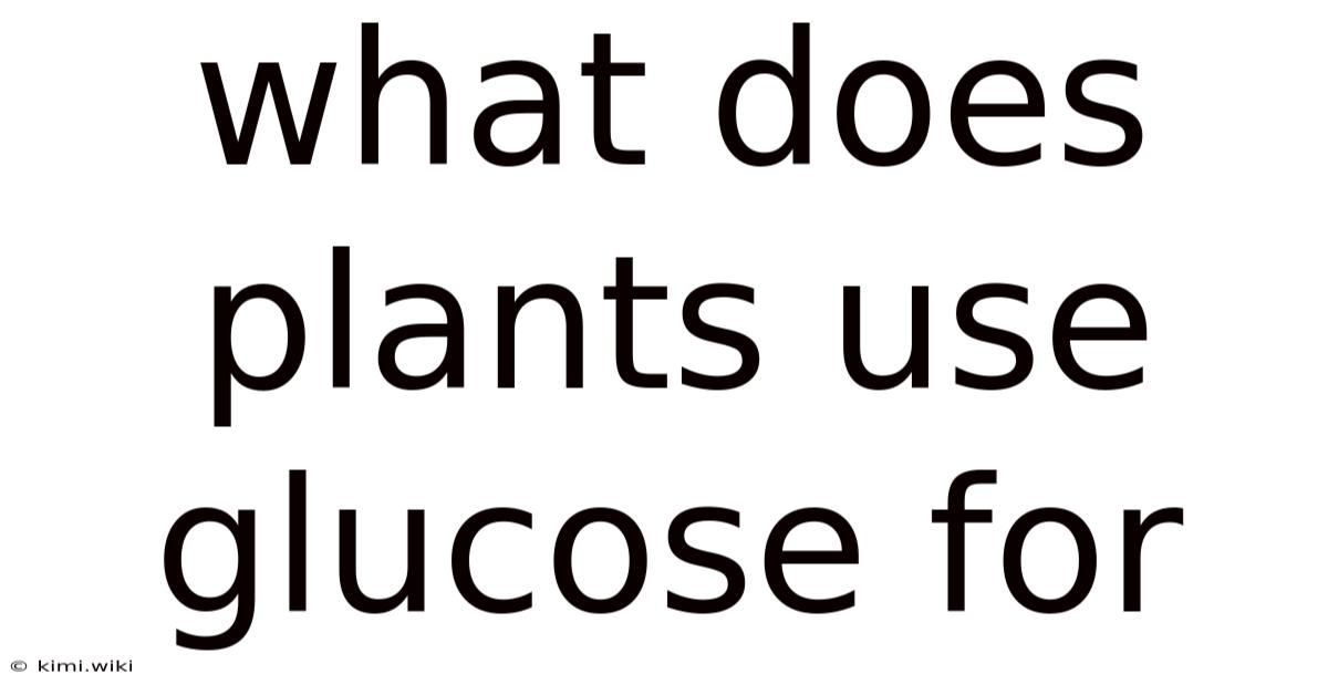 What Does Plants Use Glucose For