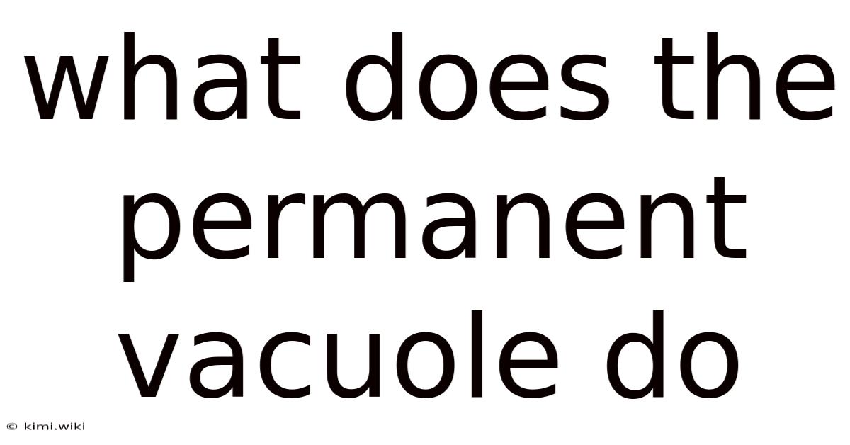 What Does The Permanent Vacuole Do