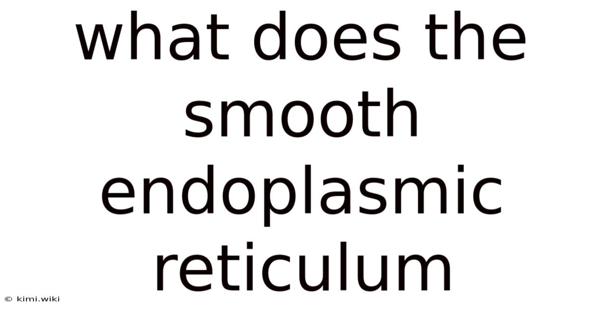 What Does The Smooth Endoplasmic Reticulum