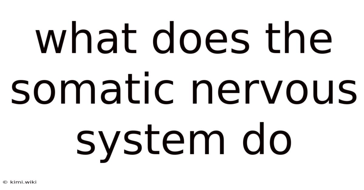 What Does The Somatic Nervous System Do