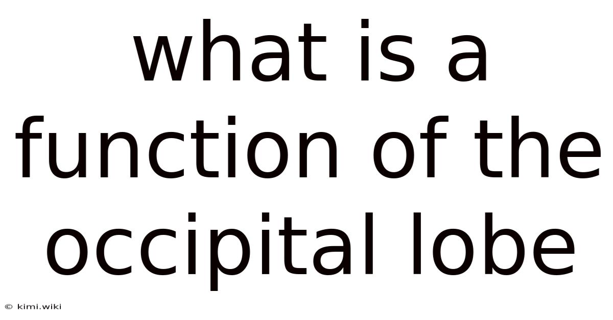 What Is A Function Of The Occipital Lobe