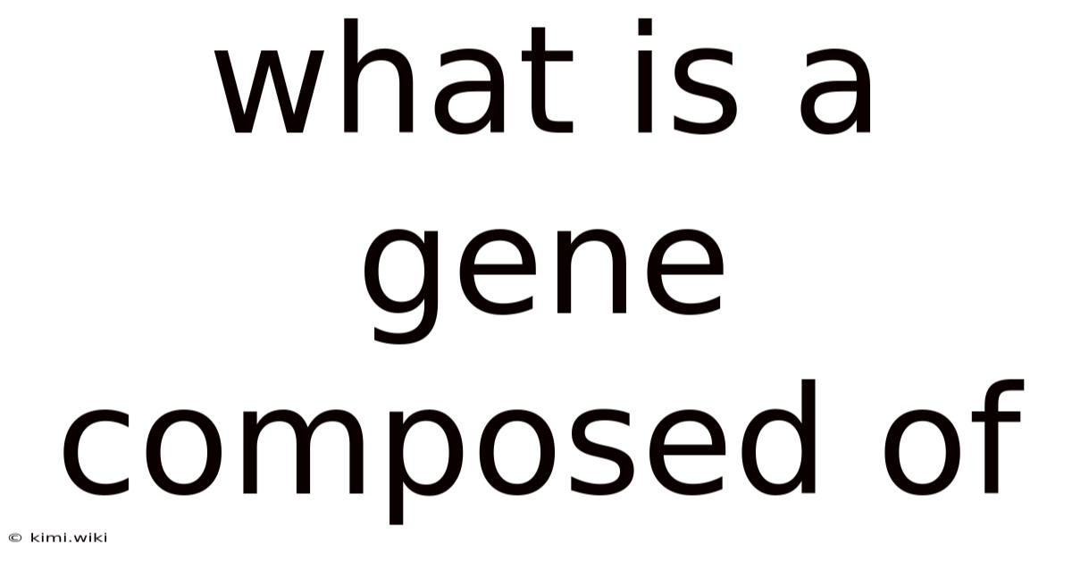 What Is A Gene Composed Of