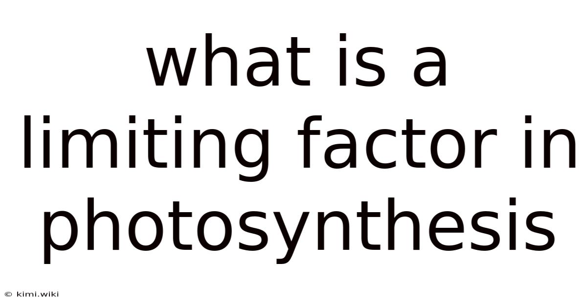 What Is A Limiting Factor In Photosynthesis